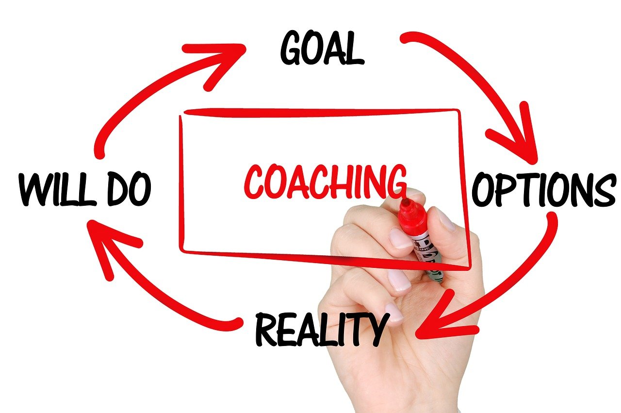 Organisational Coaching
